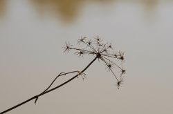 13Ursula Schomer Minimalismus 03